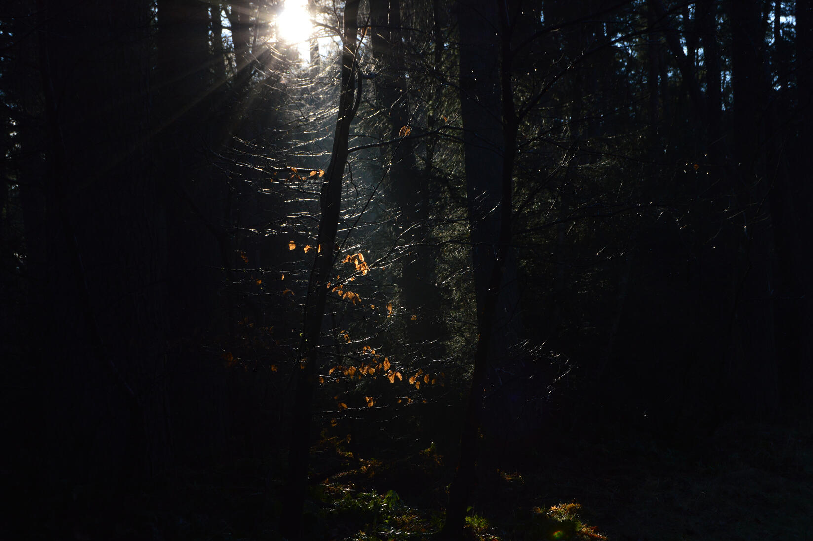 Untitled Untitled